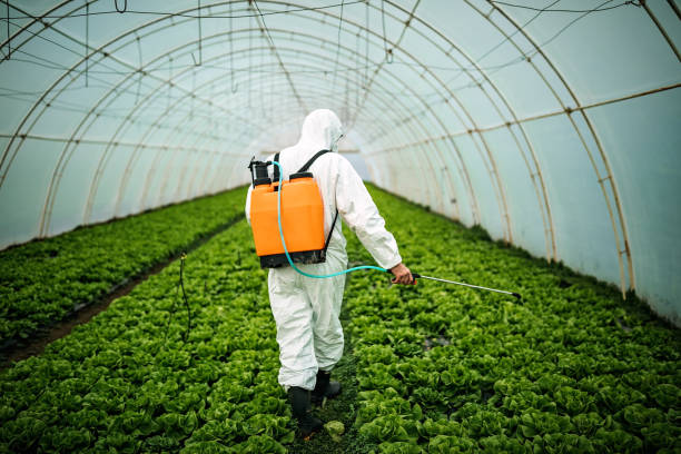 Best Pest Removal Services  in Shelter Island Heights, NY