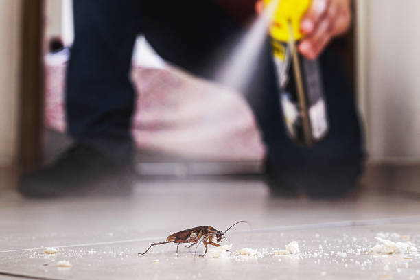 Professional Pest Control in Shelter Island Heights, NY